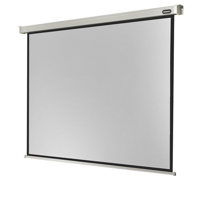 Celexon 1090099 Electric Professional screen, 300 x 225 cm, 4:3 Electric Professional screen, 300 x 225 cm, 4:3